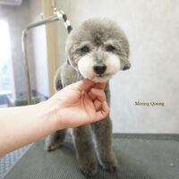画像6978