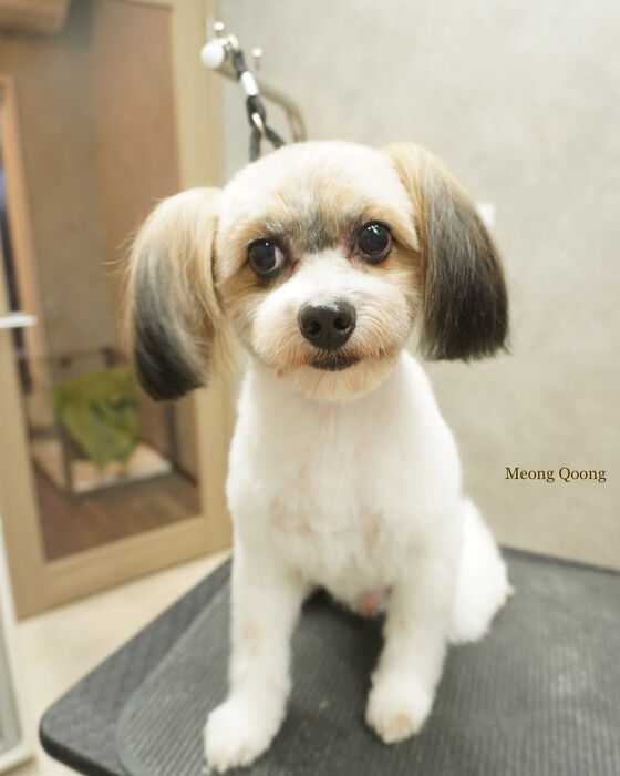 画像7026
