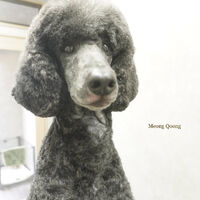 画像7187
