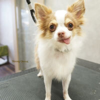 画像7231