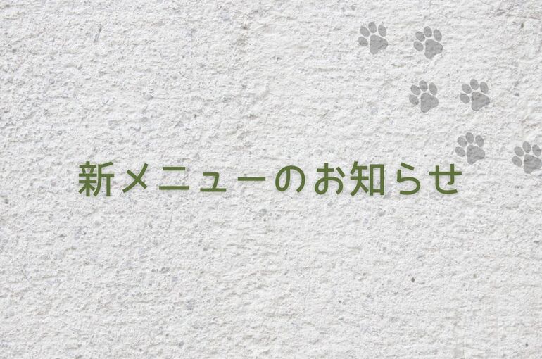 新メニューのお知らせ