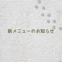 画像7280