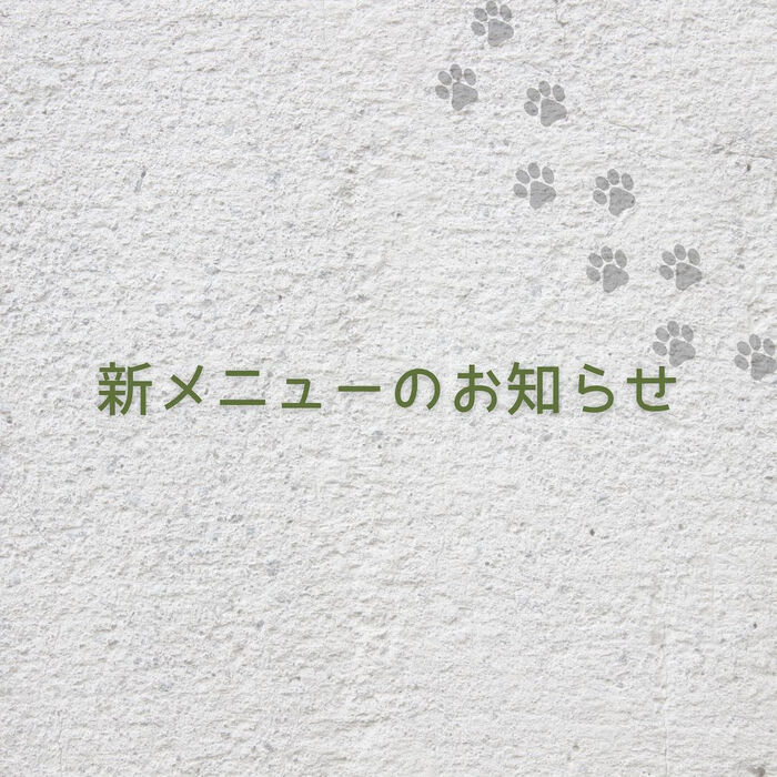 画像7280
