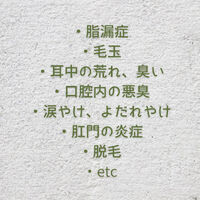 画像7282