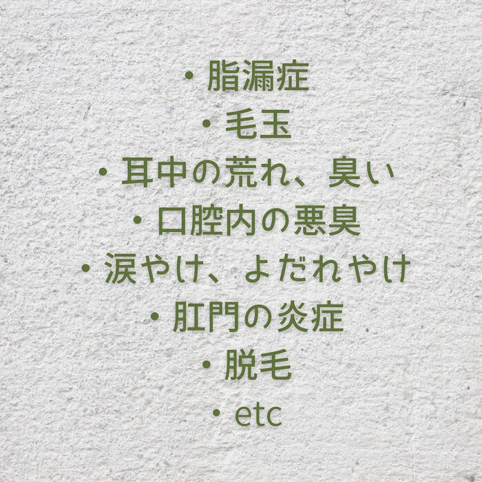 画像7282