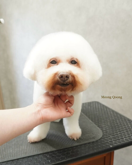 画像7293