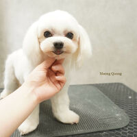 画像7405