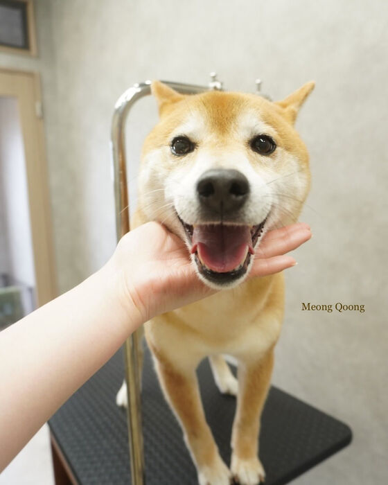 画像7475