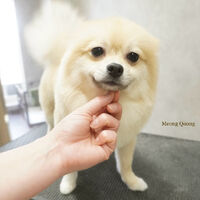 画像7574