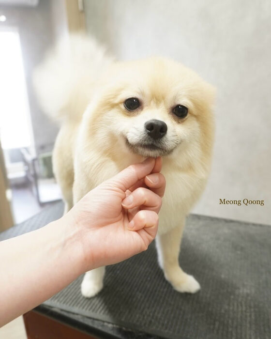 画像7574