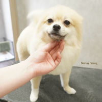 画像7575