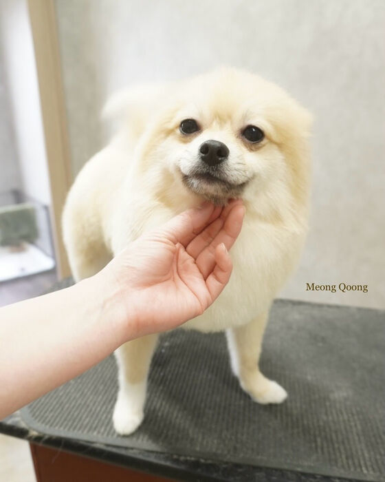 画像7575