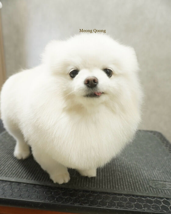 画像7619