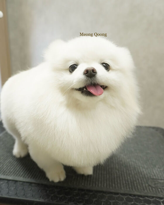 画像7620