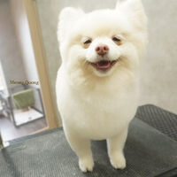 画像7680