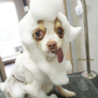 画像7682
