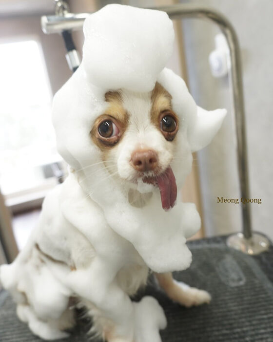画像7682