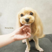 画像7696
