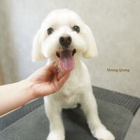 画像7708