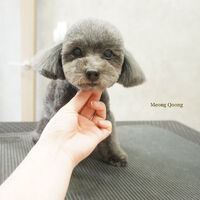 画像7793