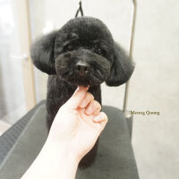 画像7796
