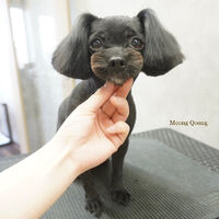 画像7798