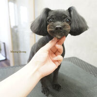画像7799