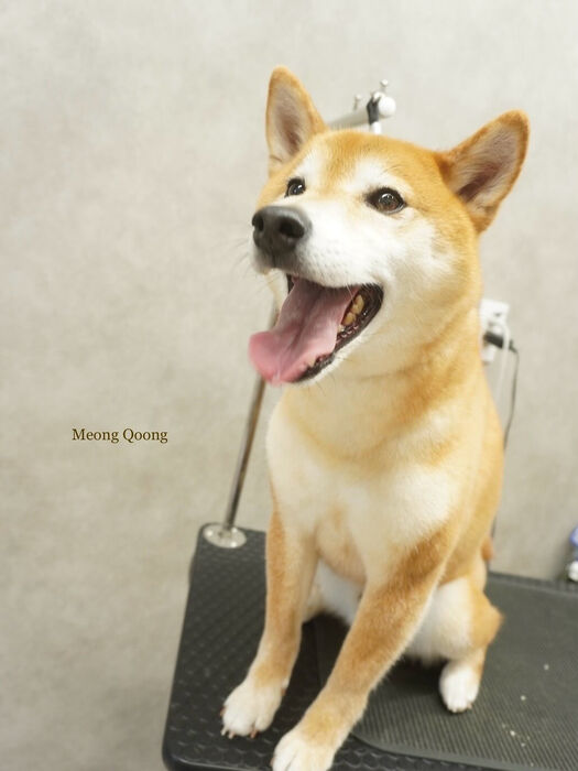 画像7821