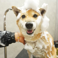 画像7846