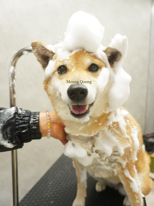 画像7846