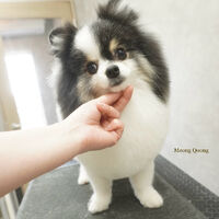 画像7958