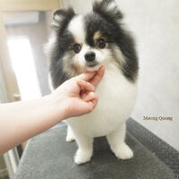 画像7959