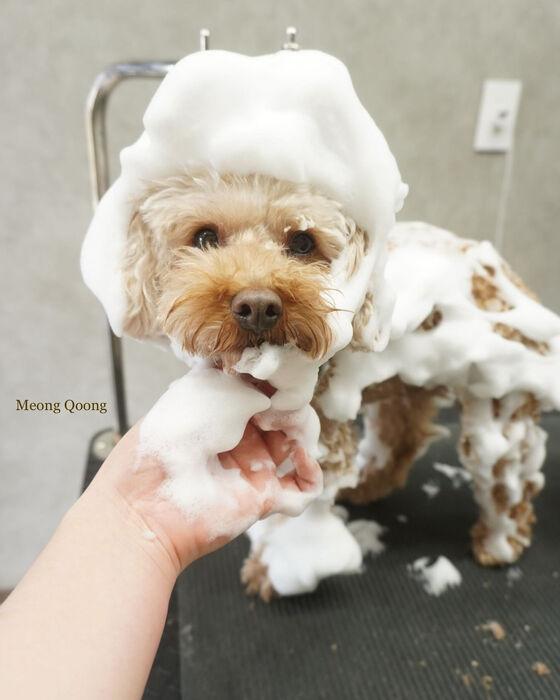 画像8141