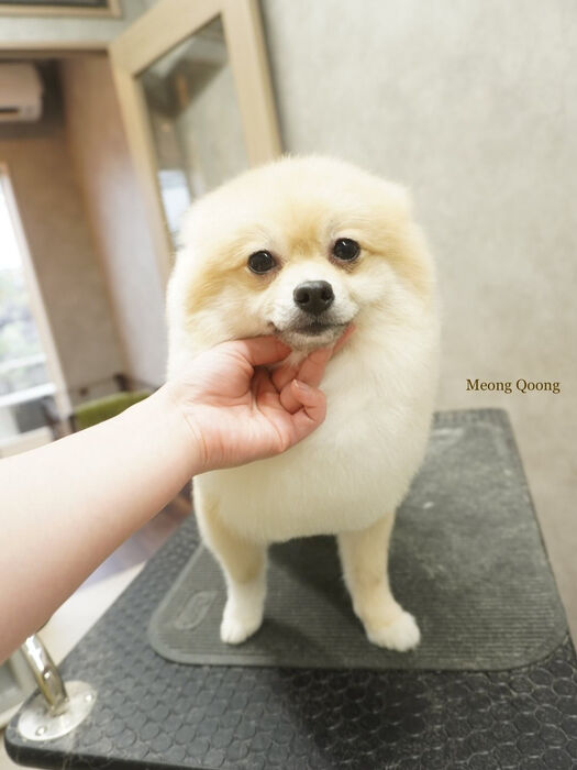 画像8307