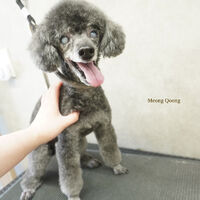 画像8322