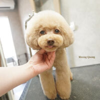 画像8420