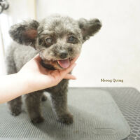 画像8469