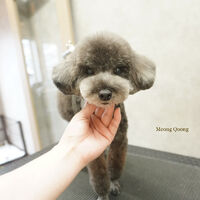 画像8476