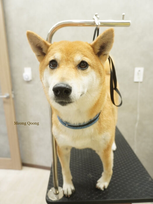 画像8486