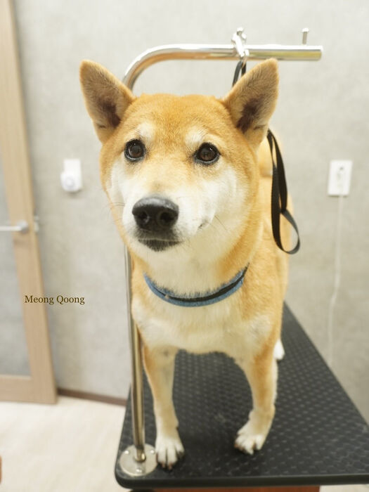 画像8487