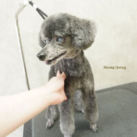 画像8541