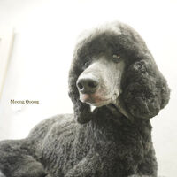 画像8543