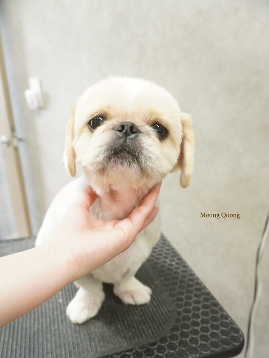 画像8555