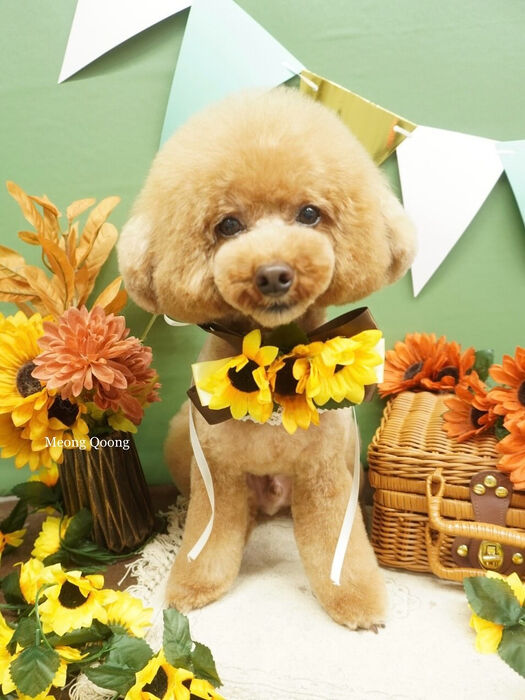 画像8643