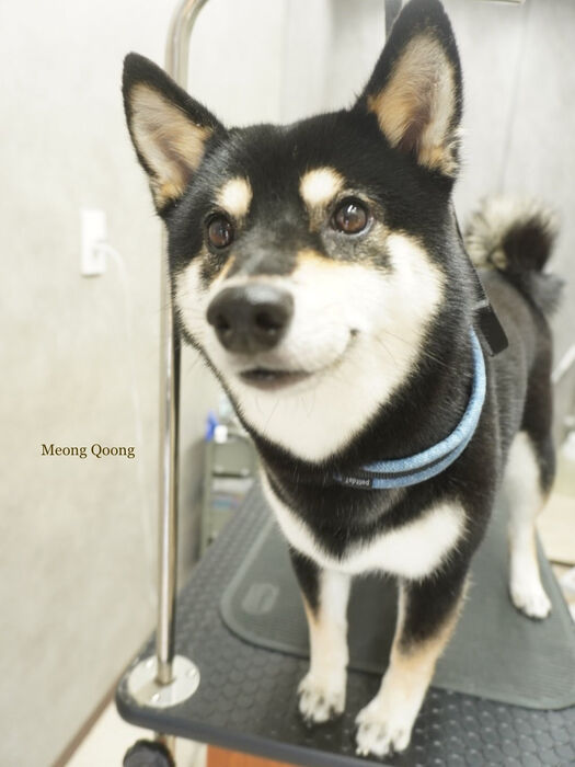 画像8693