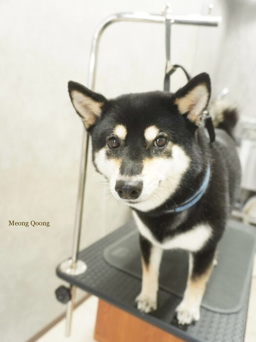 画像8694