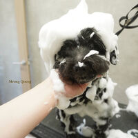 画像8714