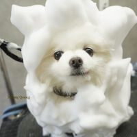 画像8725