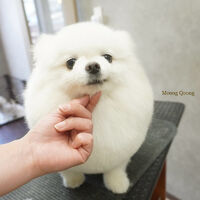 画像8726