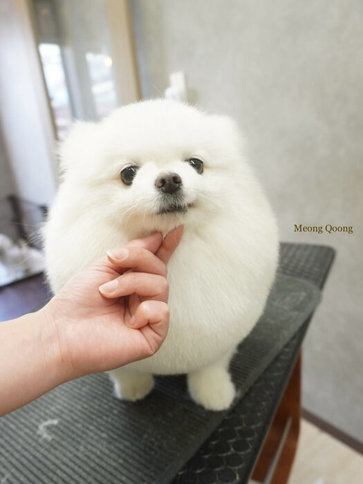 画像8726